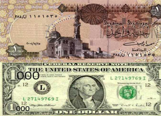 Us Dollar To Reach Egp 20 In 2019 Cnn Egypt Independent