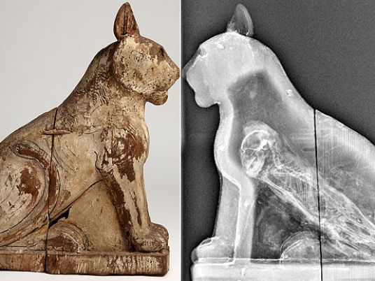 Egyptologists uncover 'corruption' in animal mummy industry ...