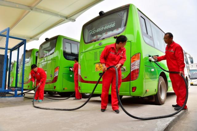 Egypt starts electric bus production in November: Minister