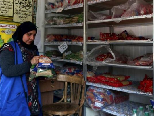 Egypt took many strides to achieve food security over past 8 years