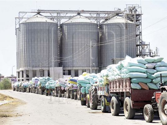 Egypt establishes huge warehouses for wheat crops - Egypt Independent