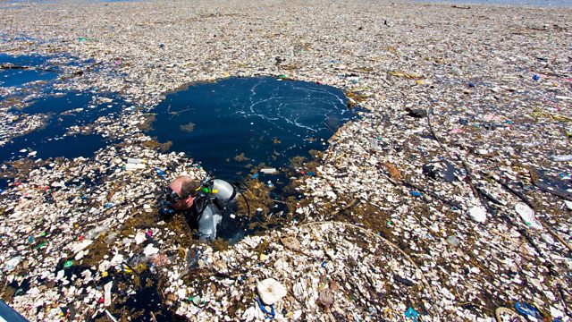 plastic bags pollution