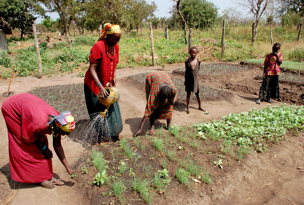 Turkey to offer Sudanese land for agricultural investment 