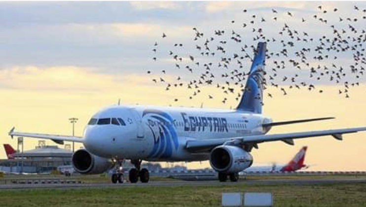 EgyptAir: New instructions for ‘tourist visa’ to Saudi Arabia