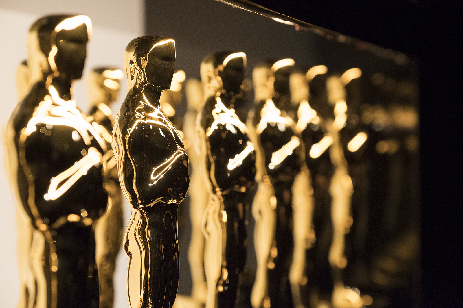 لماذا لم يتم ترشيح أفلام مصرية لجوائز الأوسكار هذا العام؟