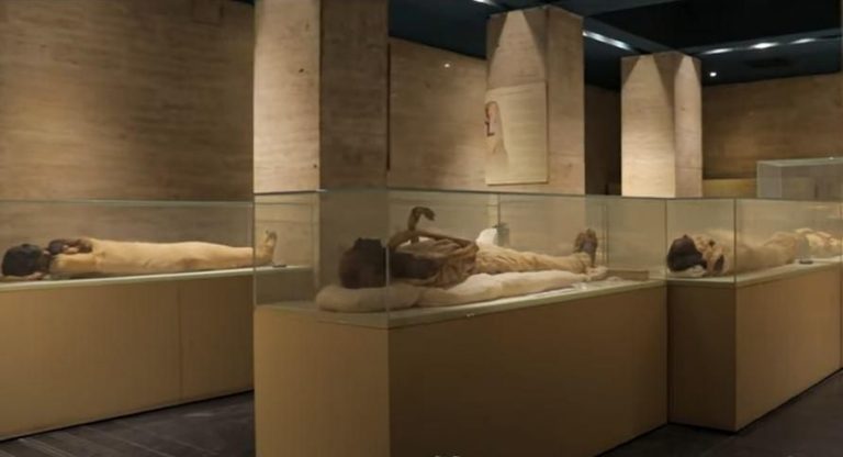 royal mummies hall at the national museum of egyptian civilization