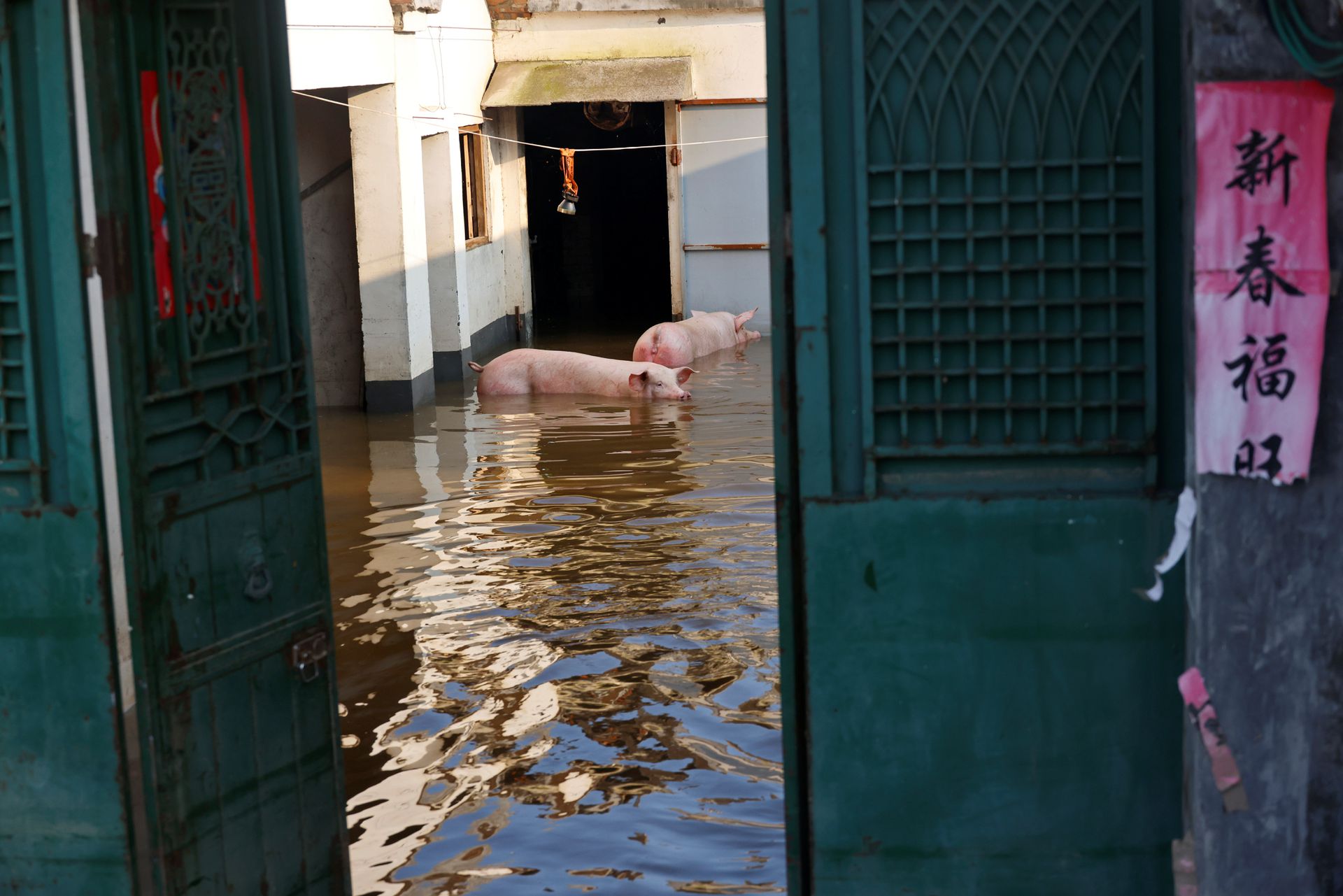 &lsquo;The sky has fallen&rsquo;: Chinese farmers see livelihoods washed away by floods