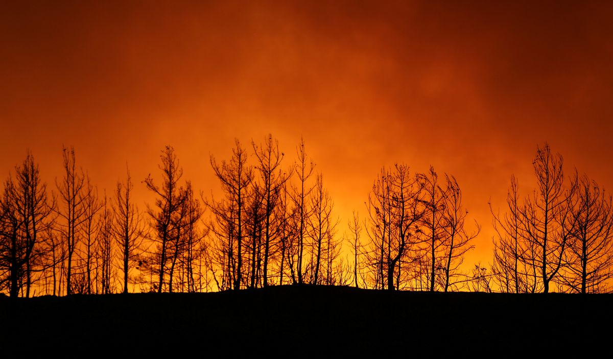 Egypt extends its condolences to Turkey over wildfire fatalities