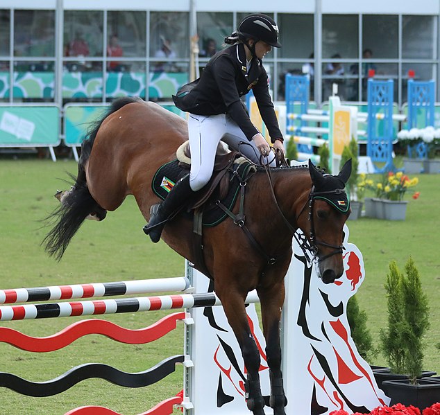 Egyptian riders Nayel Nassar, Mohamed Taher qualify for equestrian