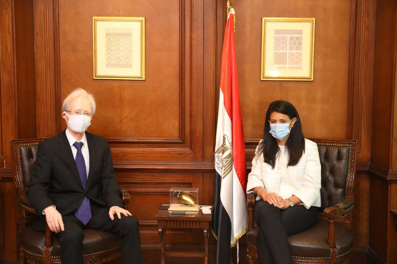 Japan grants Egypt US$9 mn to combat coronavirus