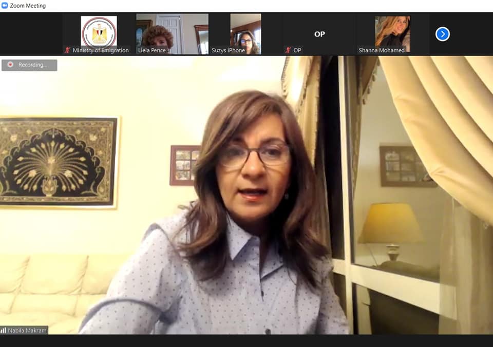 Egypt to launch official expat fundraising event for Decent Life initiative on Facebook: Minister