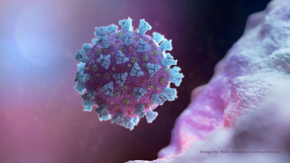 Republican report says coronavirus leaked from China lab; scientists still probing origins