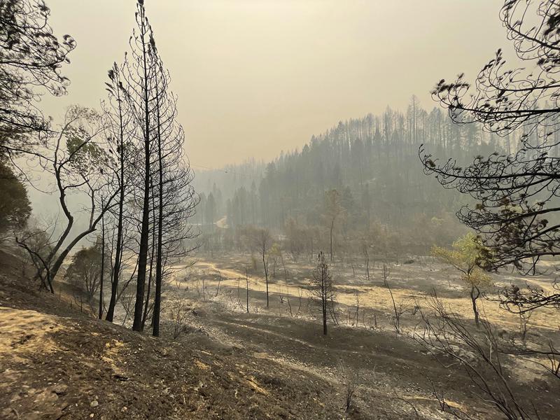 Californians endure intense weekend of wildfire fears