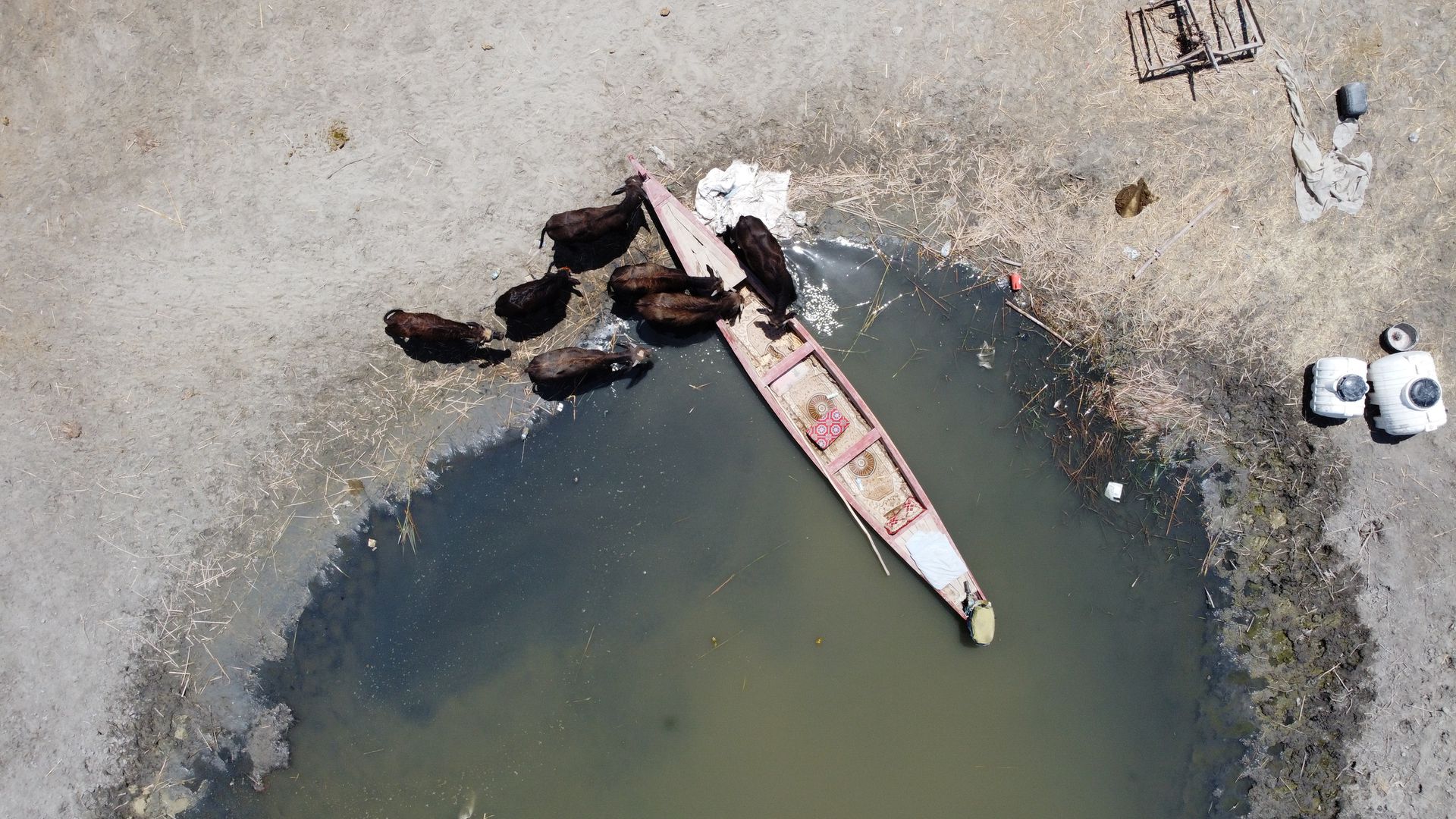 &lsquo;Our whole life depends on water&rsquo;: Climate change, pollution and dams threaten Iraq&rsquo;s Marsh Arabs