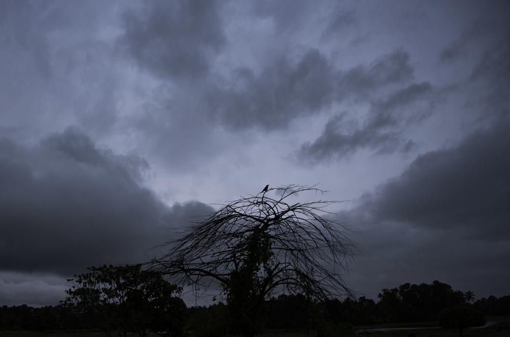 Heavy rains, floods leave 8 dead, 12 missing in south India