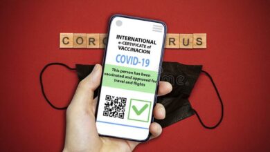 Egypt's Coronavirus e-passport