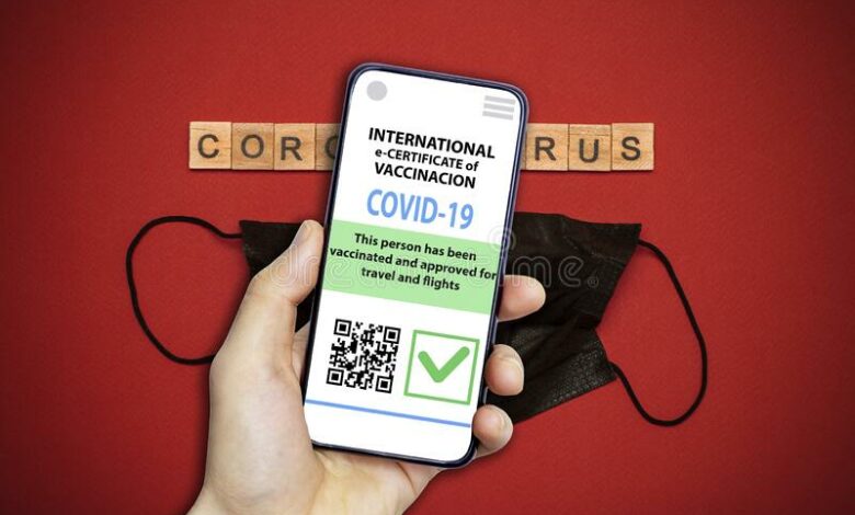 Egypt's Coronavirus e-passport