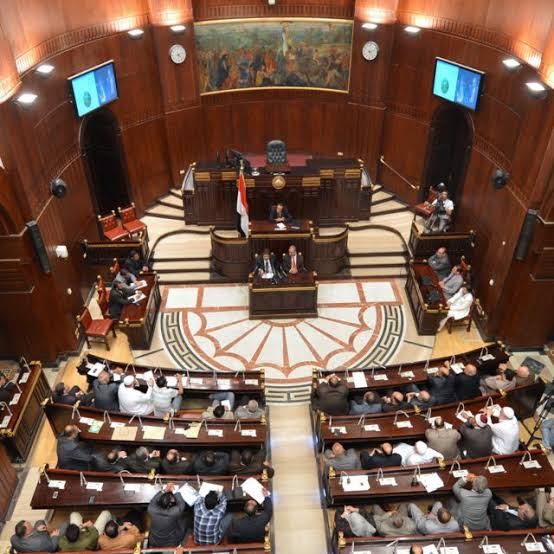 Egypt Senate bans child labor before the age of 15