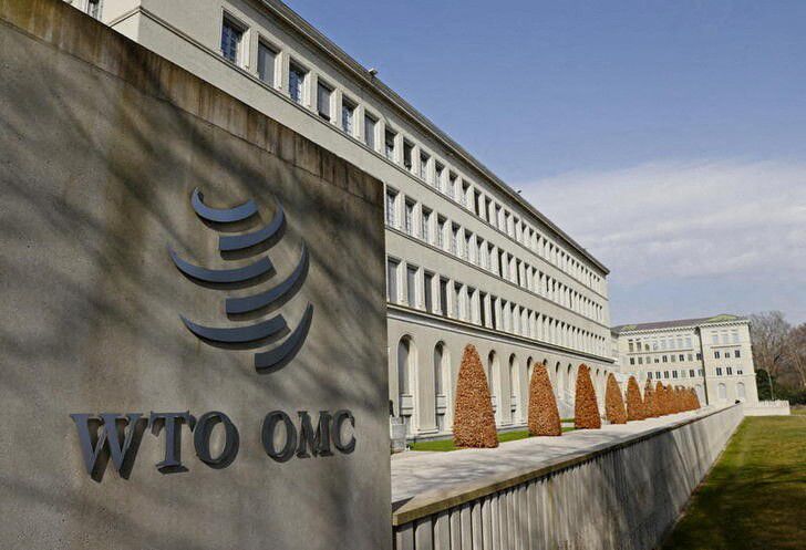 Egypt approves WTO investment facilitation agreement to attract foreign capital