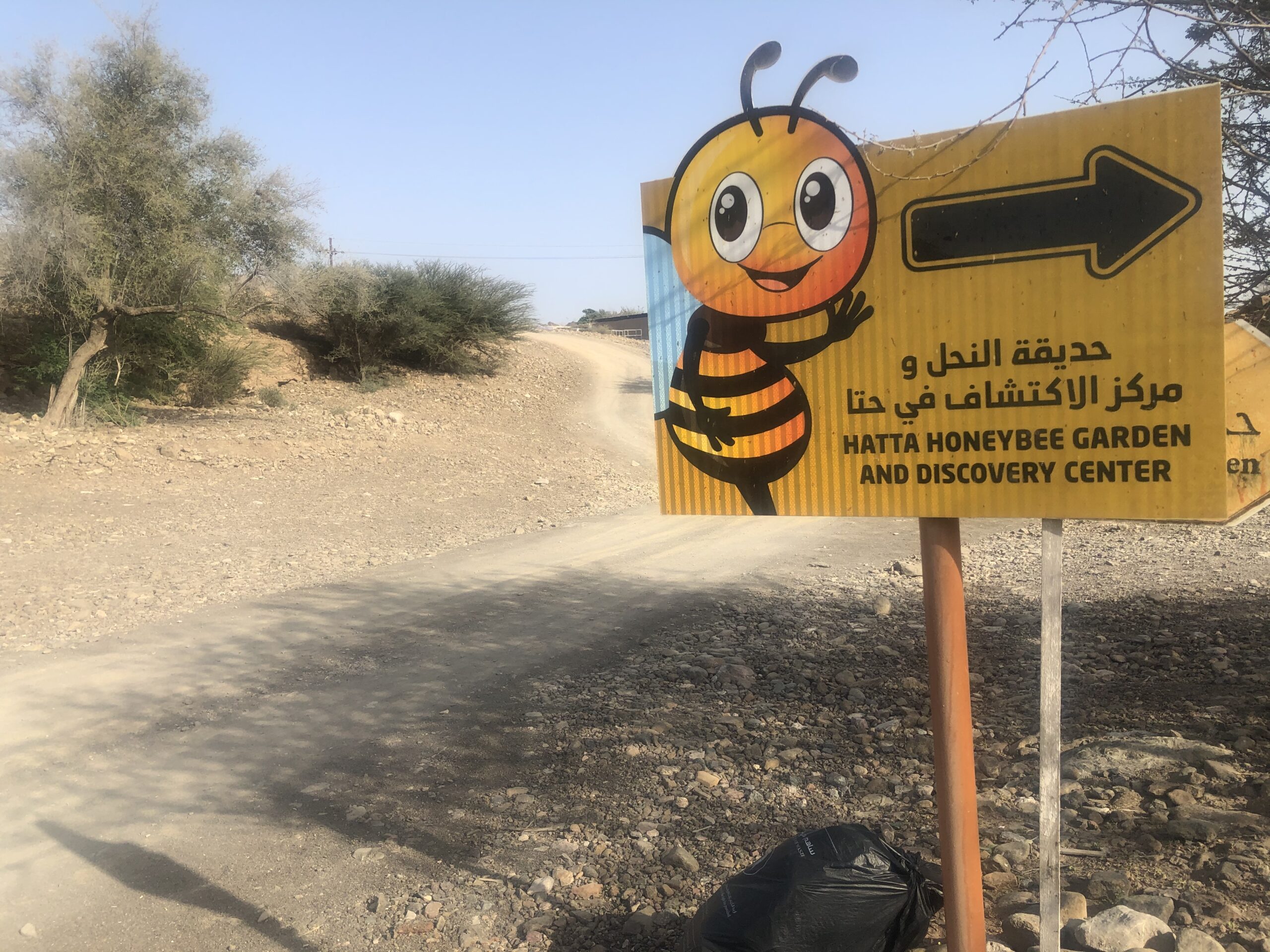 حديقة نحل العسل ومركز هاثا ديسكفري في دبي