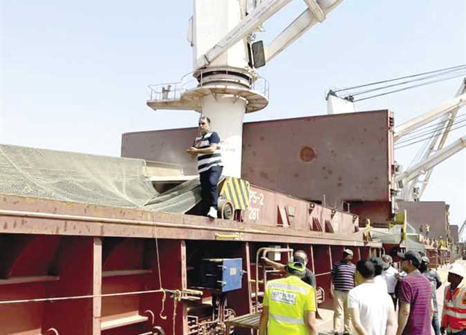 Egypt approves 1st shipment of Indian wheat, assures 14% protein and less moisture