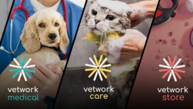 Young vet launches app to connect animal owners with vets in Egypt