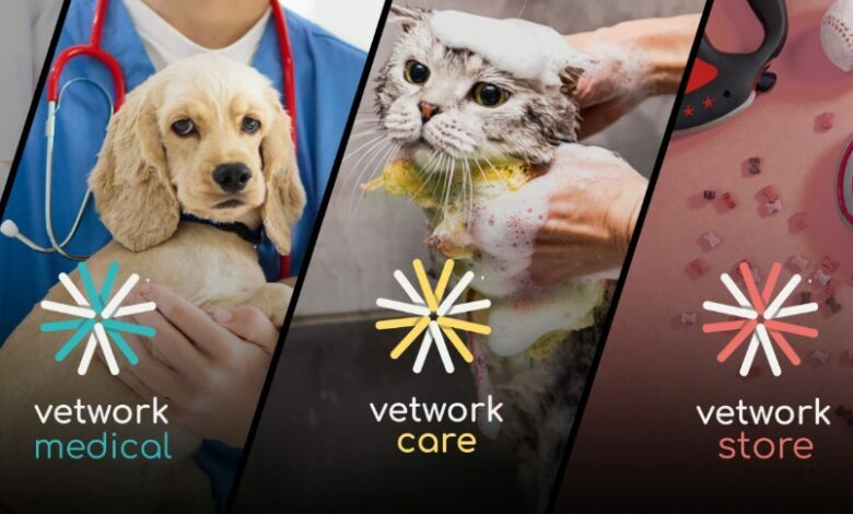 Young vet launches app to connect animal owners with vets in Egypt