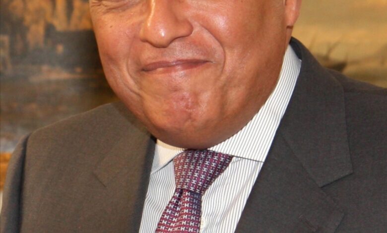 Egyptian Foreign Minister Sameh Shoukry
