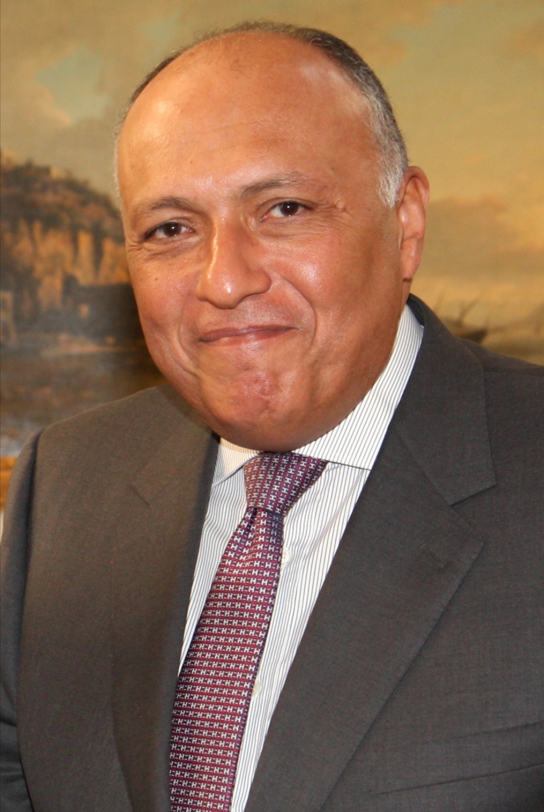 shoukry-presses-for-taking-faster-steps-to-mitigate-climate-change-implement-int-l-obligations