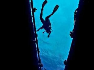 Red Sea diving