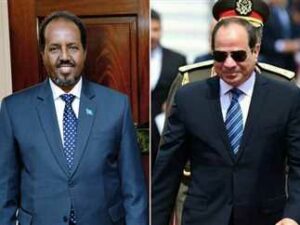 Sisi and somali president