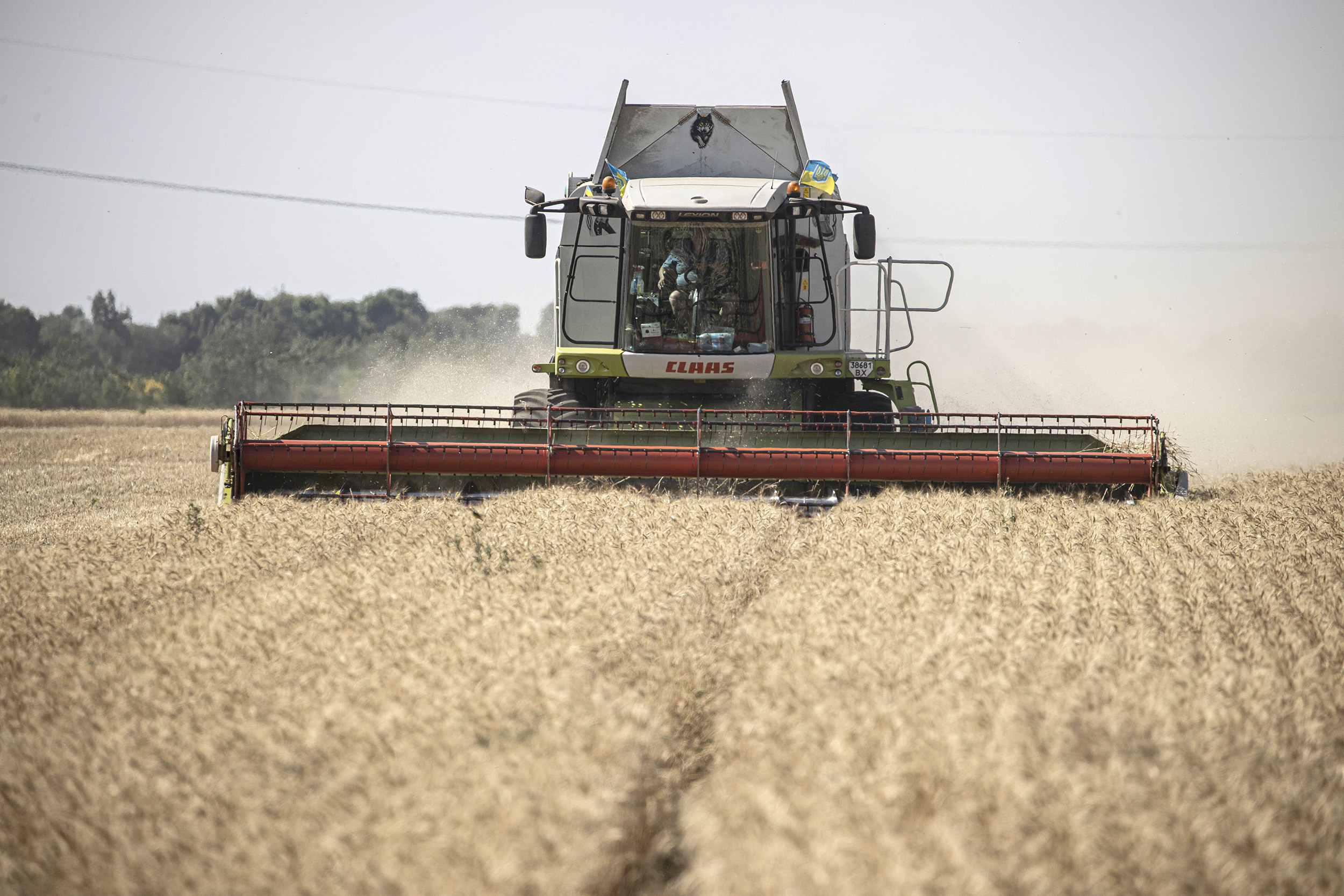 Egypt puts wheat for sale on EMX Egypt puts wheat for sale on EMX