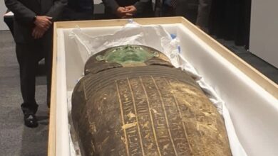 Ancient wooden coffin cover retrieved from Museum of Houston
