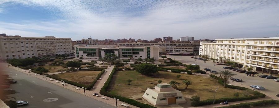 21 researchers from Beni Suef University on Stanford list