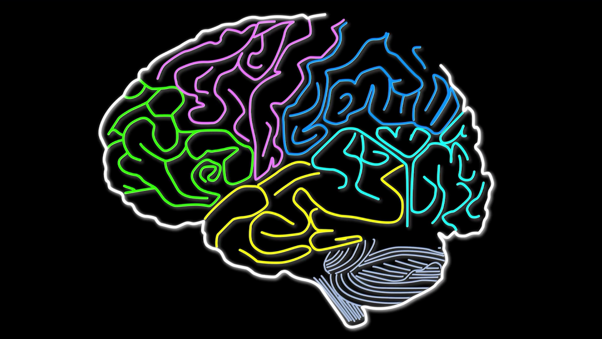 Dementia diagnosis increases suicide risk for those under age 65, study finds Dementia diagnosis increases suicide risk for those under age 65, study finds