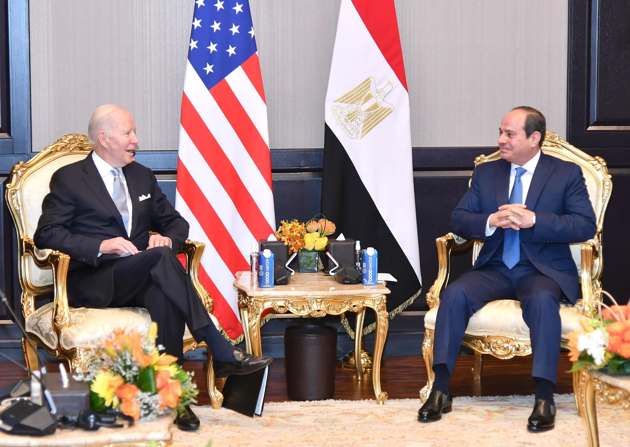 Video: Sisi asserts strength of Egypt-US ties