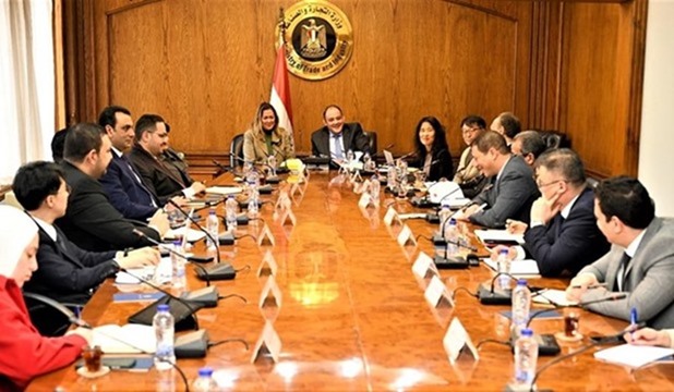 Egypt's NTA, South Korea's KAIST discuss bilateral cooperation - Egypt Independent