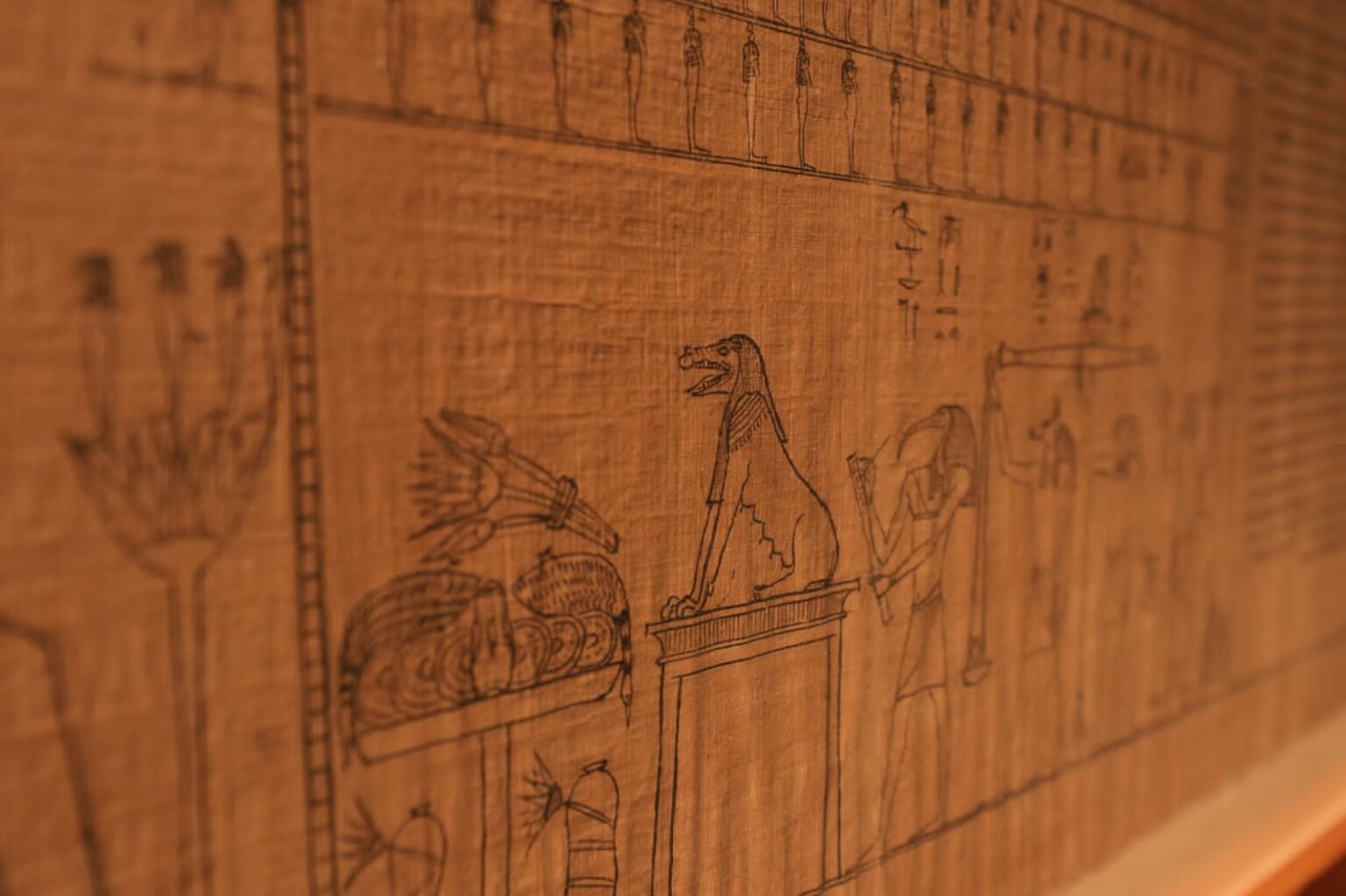 Photos Largest Papyrus In Hieratic Script To Be Displayed At Egyptian