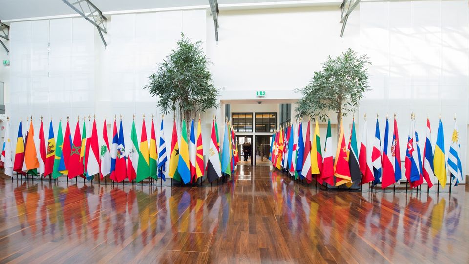 OIF high-level economic forum kicks off in Cairo