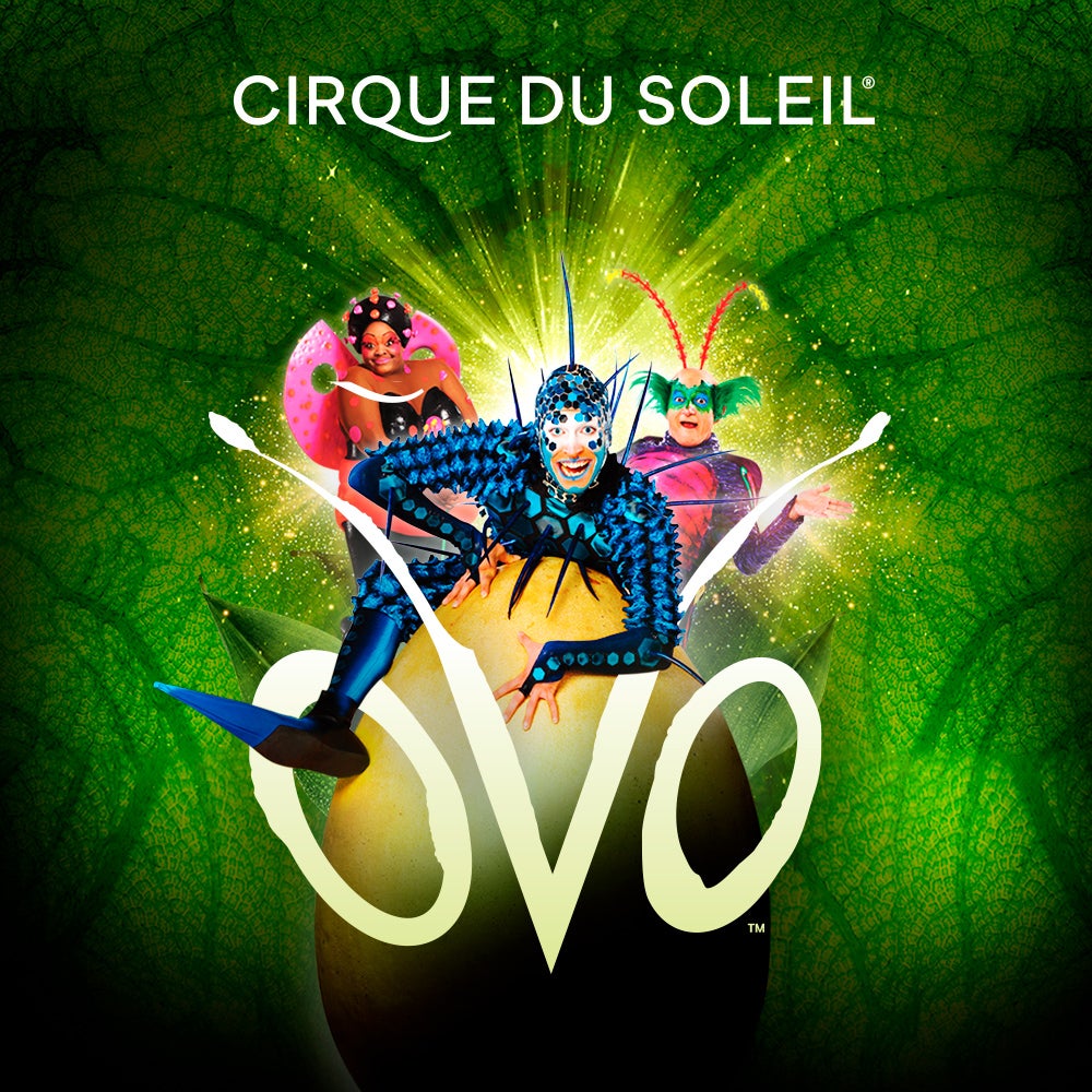 Cirque du Soleil to host 16 shows in Egypt this March Cirque du Soleil to host 16 shows in Egypt this March