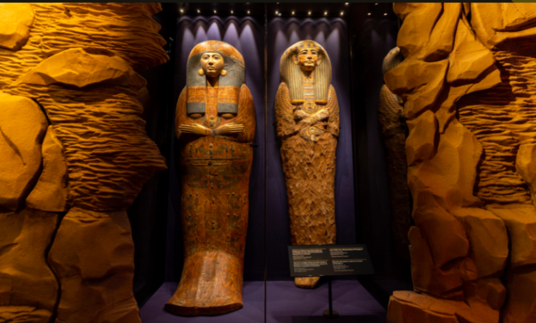 Ramses II exhibition - sarcophagi