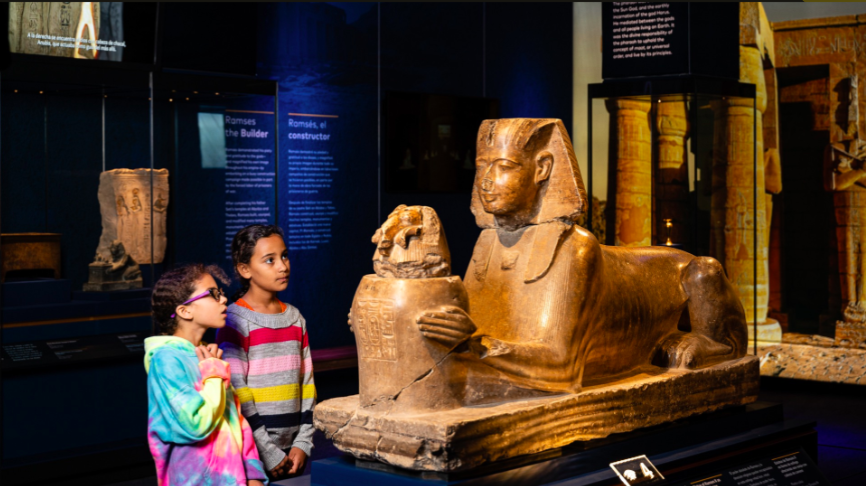 Lime stone Sphinx - Ramses II exhibition