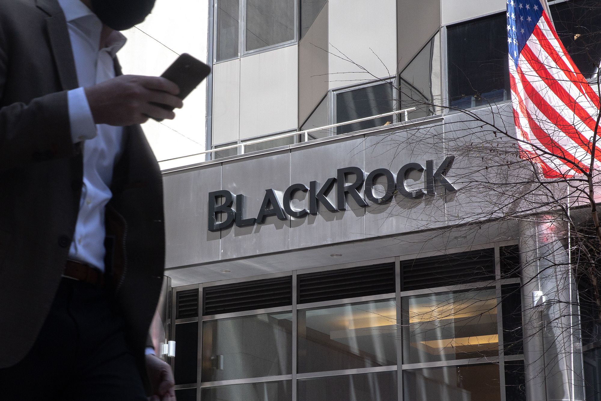 BlackRock mulling expanding investments in Egypt