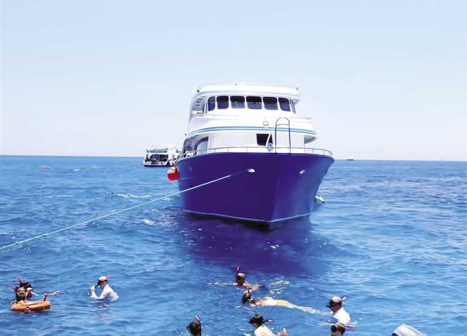البحر الأحمر تنفذ نظام التحول الرقمي للرحلات البحرية والغوص