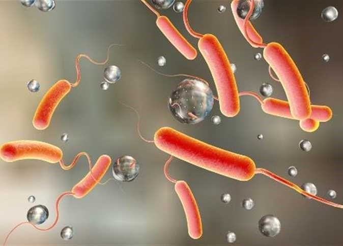 Health Ministry denies new epidemic wave in Egypt