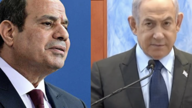 Egypt's President Abdel Fattah al-Sisi and Prime Minister of Israel Benjamin Netanyahu