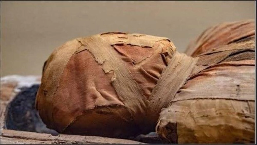 Aswan Prosecution investigates the discovery of an ancient mummy thrown in the street