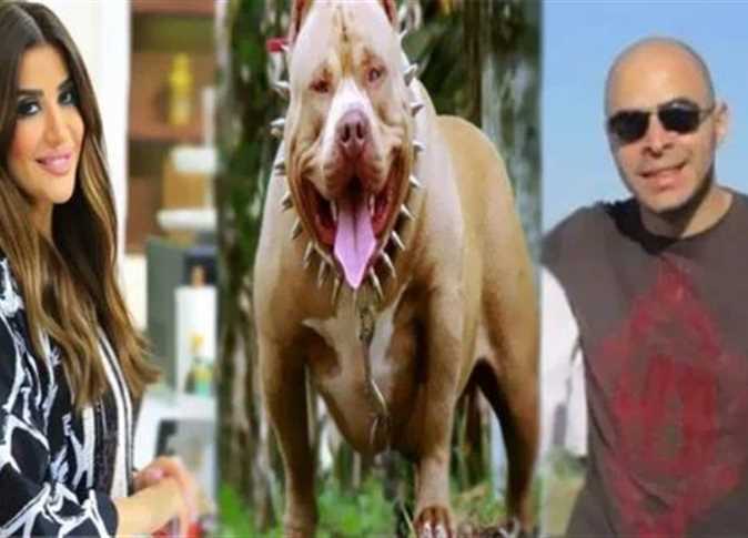 Following Sheikh Zayed dog attack, husband of TV host turns himself in to court