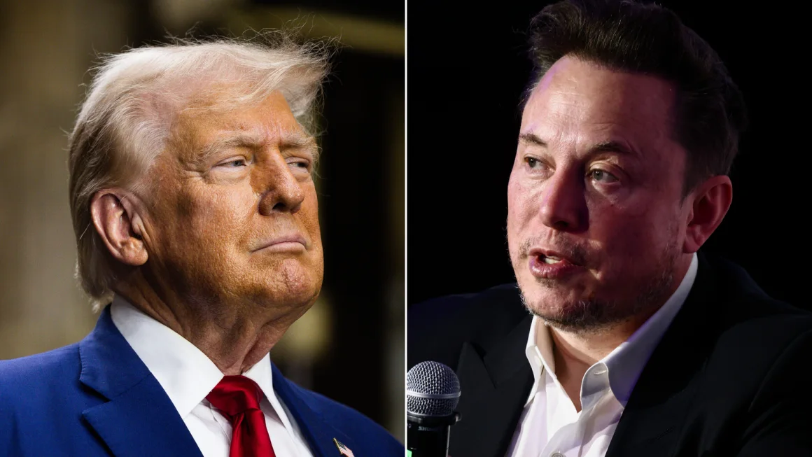 Let’s throw cold water on the Musk working for Trump thing