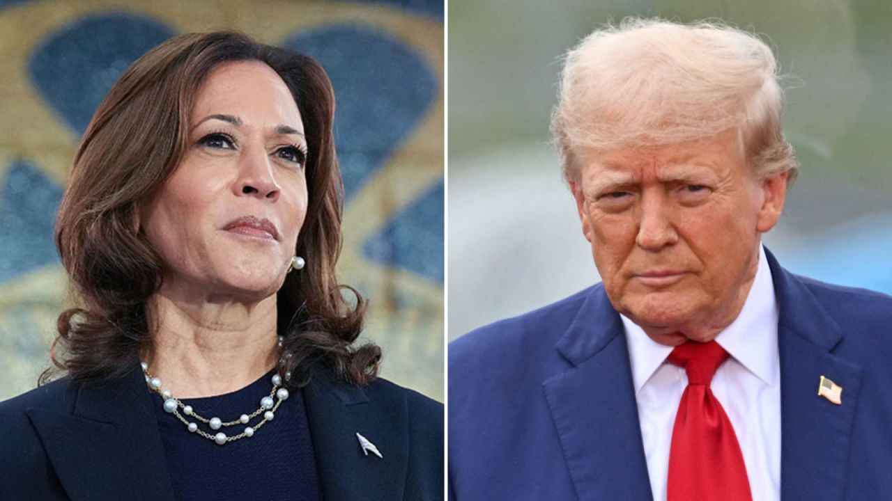 Harris tries to paint contrast with Trump, arguing ‘it doesn’t have to be this way’ at Ellipse rally